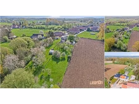 fermette à vendre à nijken 31 denderwindeke (rbt13966)