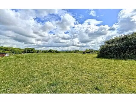 terrain mouguerre m² t- à vendre  195 000 €