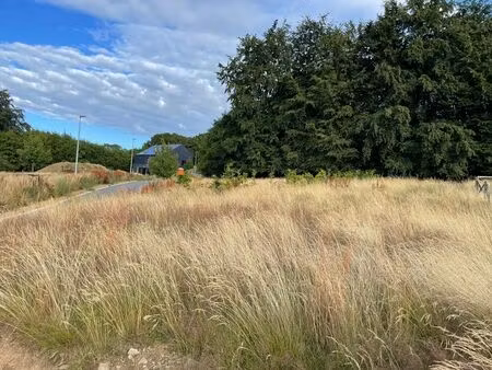 remise en vente terrain anlier (habay) - terrain à bâtir