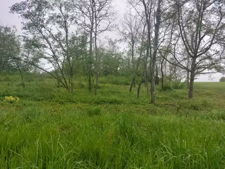 vente terrain 2400 m² à saint-romain-sur-cher (41140)  17 000 €