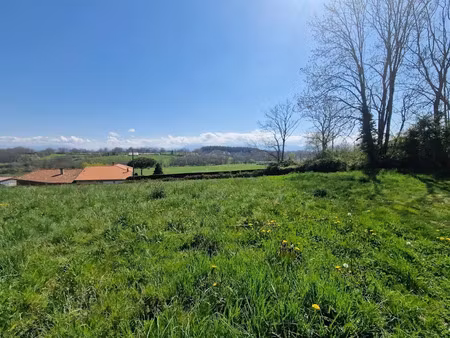 vente terrain 1862 m² à franquevielle (31210)  35 000 €