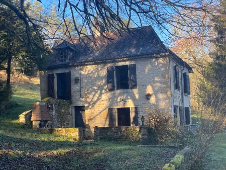 maison à vendre à plazac (24580) - dordogne
