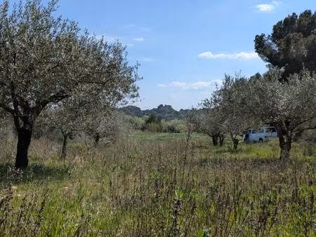 terrain agricole ideal jardin