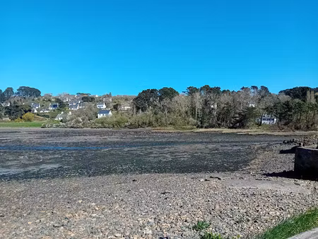 vente maison 5 pièces 90 m² plougasnou (29630)