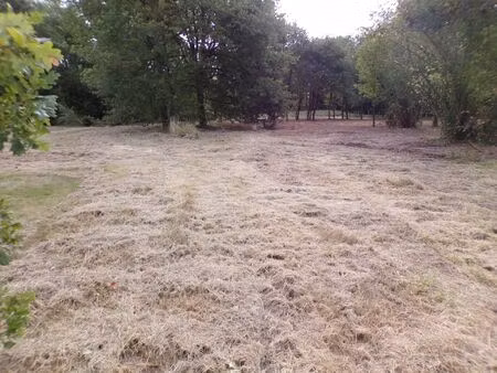 vente terrain 4000 m2 à theillay