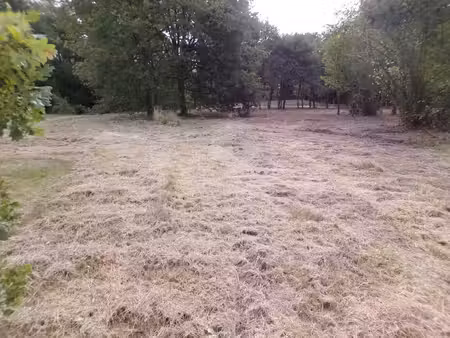 theillay bourg 41 - terrain constructible - 4 000 m²