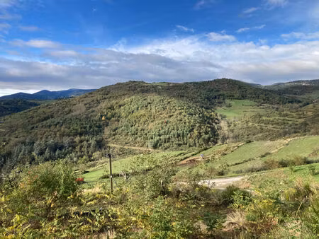 vente maison 2 pièces 32 m² annonay (07100)