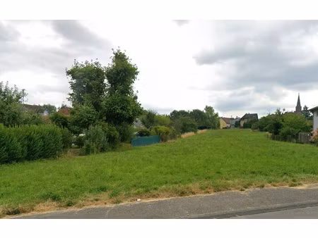achat terrain 1 200m² dannemarie 68210