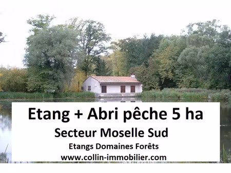 achat terrain 50 000m² chateau salins 57170