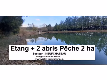 achat terrain 15 000m² neufchateau 88300