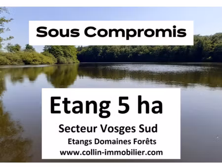 achat terrain 50 000m² plombieres les bains 88370