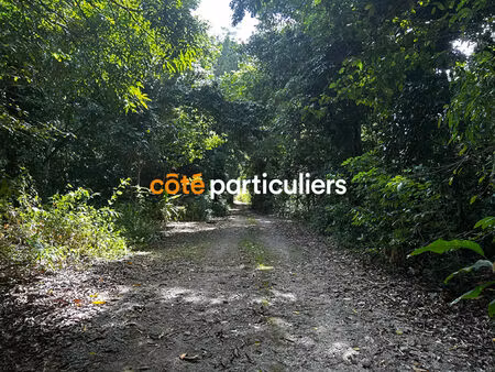 achat terrain 3 391m²