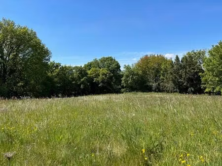 vente terrain 1667 m² pont-l’abbé-d’arnoult (17250)