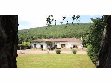 propriété avec jardin roquefixade (09)