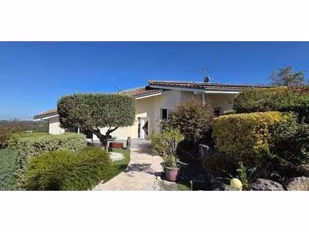 maison avec piscine et jardin lacroix-falgarde (31)