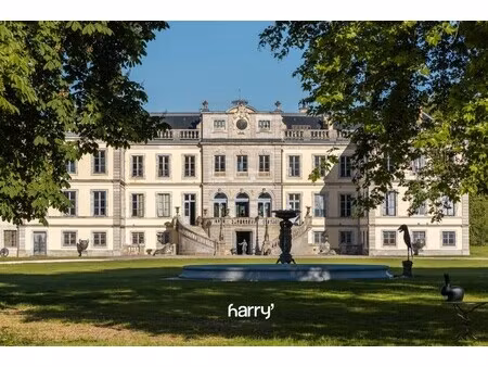 château à vendre à neuvelle-lès-la-charité