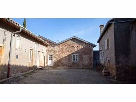 propriété avec jardin leynes (71)