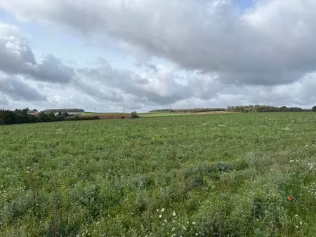 vente terrain 560 m² à rurange-lès-thionville (57310)  160 000 €