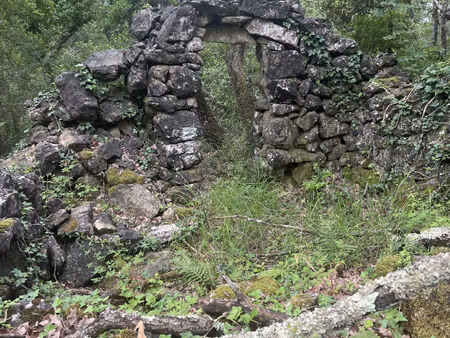 vente terrain 10393 m² tourrettes-sur-loup (06140)