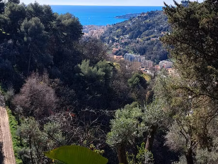 vente terrain 8064 m² menton (06500)