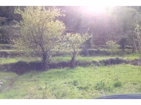 vente terrain 2433 m² la trinité (06340)