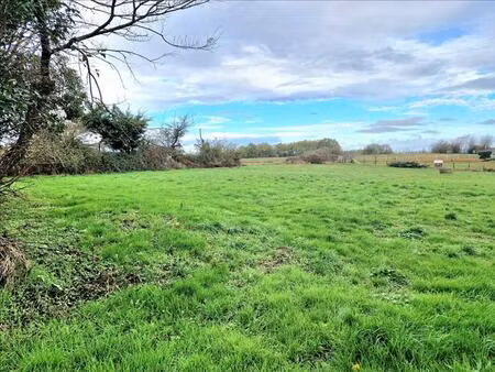 vente terrain 3000 m² saverdun (09700)