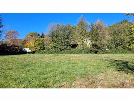 vente terrain 1208 m² serres-sur-arget (09000)