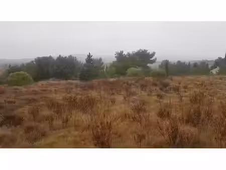 terrain - 1483m ²
