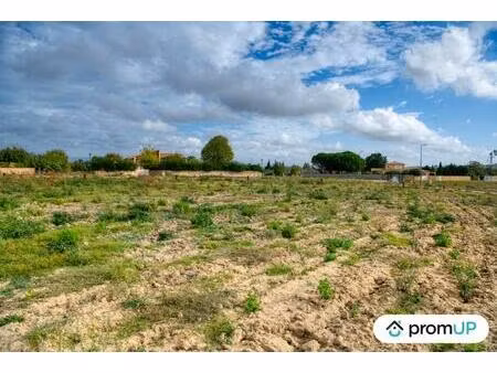 vente terrain 600 m² villesèquelande (11170)