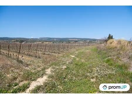 vente terrain 41115 m² peyriac-de-mer (11440)