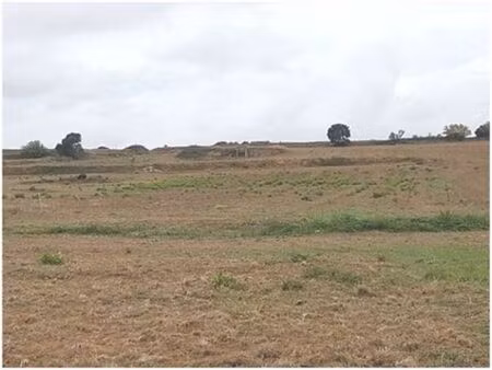 vente terrain 83245 m² sainte-valière (11120)