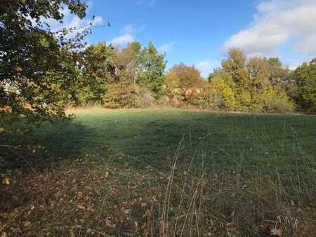 vente terrain 4368 m² vailhourles (12200)