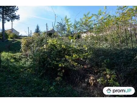 vente terrain 1764 m² millau (12100)