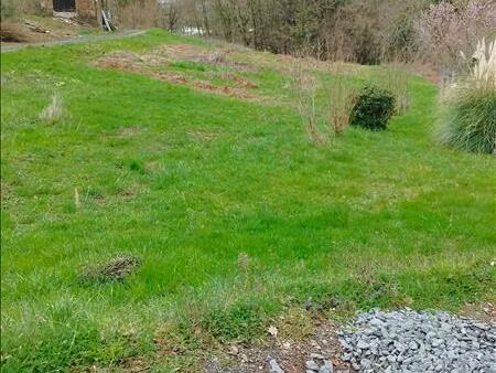 vente terrain 3268 m² boisse-penchot (12300)