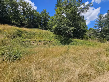 vente terrain 2335 m² belcastel (12390)