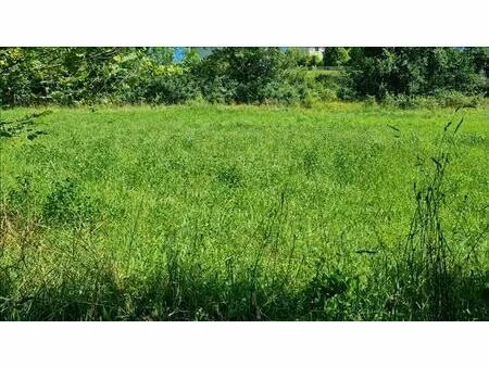 vente terrain 1065 m² livinhac-le-haut (12300)