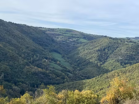 vente terrain 60000 m² verrières (12520)