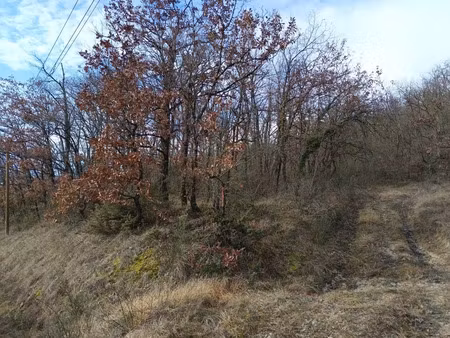 vente terrain 4870 m² graulhet (81300)