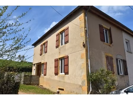maison 7 pièces maizilly (42) - 181 m2 - terrain 6000m²
