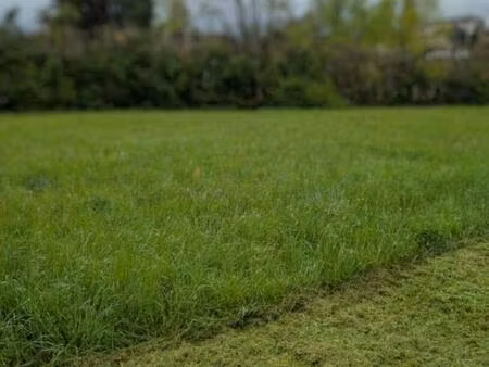 achat terrain 900m² lacrouzette 81210