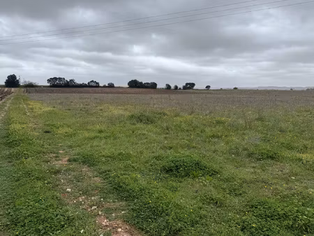 achat terrain 53 053m² st andre de sangonis 34725