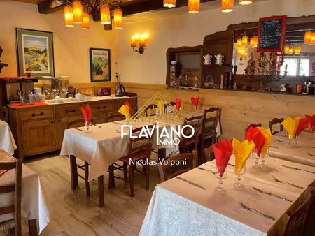 propriété - murs commerciaux