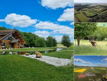 achat maison 6 pièces 450m² migennes 89400