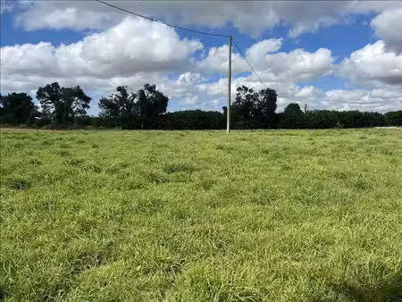 vente terrain 6818 m² trébrivan (22340)