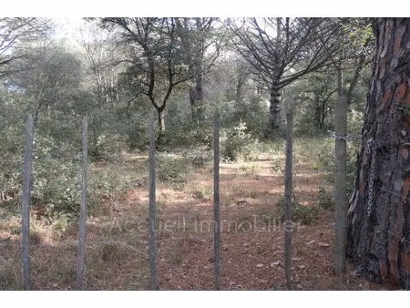 vente terrain 10000 m² beauvoisin (30640)