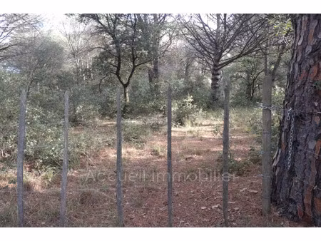 vente terrain 10875 m² beauvoisin (30640)