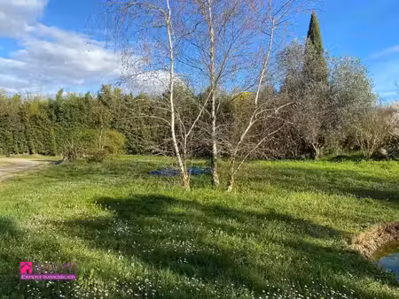 magnifique terrain plat