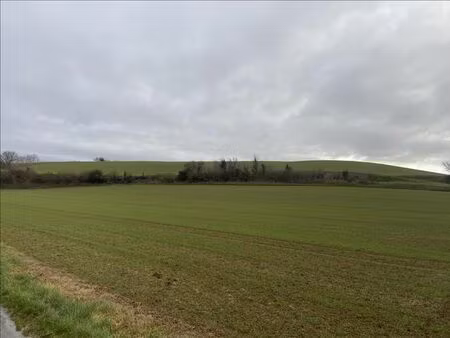 vente terrain 14000 m² villefranche-de-lauragais (31290)