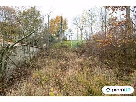 vente terrain 5457 m² nailloux (31560)