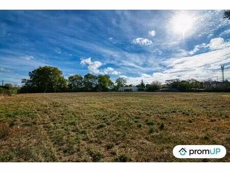 vente terrain 8674 m² cintegabelle (31550)